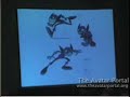 nycc  friday avatar fan panel part 1