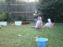 backyard backyard