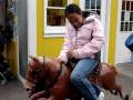 videos de Bumpy Ride