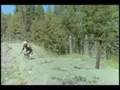MBS Mountainboards Commercial