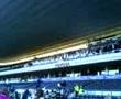 Pride Park Promotion Party 2 Pride Park Promotion Party 2