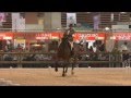 Working Equitation WM 2011