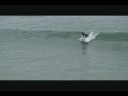 080808 Surfing myself