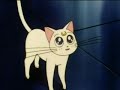 Sailor Moon Clasica Ep.35 1/2 Espa�ol Latino