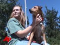 california wildfires threaten animals