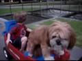 Zachary McKee and Garrett in the wagon