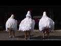 Un clip avec des poules, tourné avec des potes, sur un morceau rock/rap de notre cru...N'hésitez pas à donner votre avis!Même si vous trouvez ça lamentable!d'autres mp3 ici:http://www.soundclick.com/bands/pageartist.cfm?bandID=587203D'autre morceaux à venir bientôt!