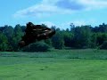 Animation test Animation test