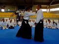 Kato Sensei e Al� Bull