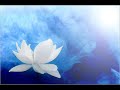 Antonio Vivaldi: Concerto for flautino a becco (flageolet), strings & b.c. in C major (RV 444)