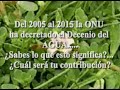 Cuidemos el agua Cuidemos el agua