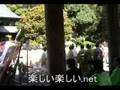 宮崎観光2 宮崎神宮の静寂と祭りの鼓動