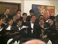 cantus musicus performing 