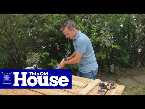 How to Make a Lily Pond – This Old House