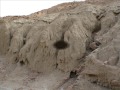 Owl Canyon