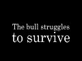 bullfighting.html