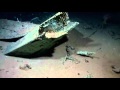 Gulf of Mexico Shipwreck Could Be 200 Years Old