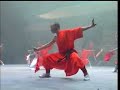 Shaolin Kungfu Demo 11- Weapon In Defending And Attacking