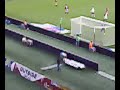 toro-palermo