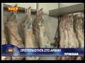 Προτεραιότητα στο αρνάκι