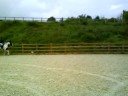 Me Jumping My Horse, Pie