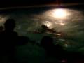 VANII PILEE 3.MOV