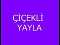 Boz�y�k Yaylalar?