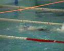 CNB SAMPIETRI-BISSA-QUINTANO-VIGNALI 4X100MX CNB SAMPIETRI-BISSA-QUINTANO-VIGNALI 4X100MX