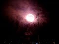 LILY FIREWORKS