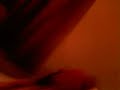 BIG ANT FARTS AT PAUL