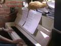 Last song - Gackt (piano)