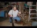videos de Deer Hunt - Uvalde County, Texas