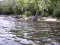 Presbyterian Falls - Lower Mountain Fork River, OK
