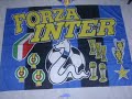 forza inter