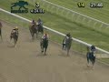 Mr Mistoffelees - Maiden Race