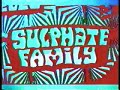 Sulphate Family - What\