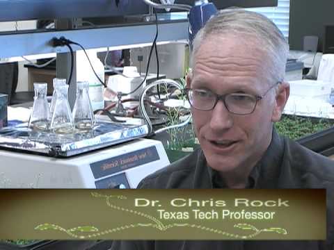 how to isolate small rna