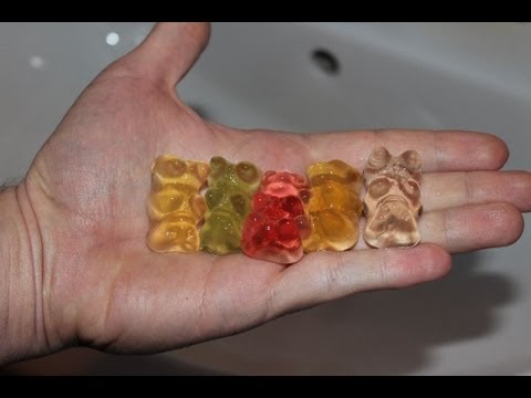 how to grow gummy bears