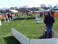 title="Soxonflyball"