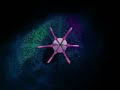 Sailor Moon S ep. 95 parte 1 [Dublado em Portugu�s]