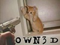 The Owned Video - OWN3D PWN3D The Owned Video - OWN3D PWN3D