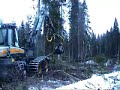 Ponsse Beaver