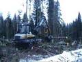 Ponsse Beaver