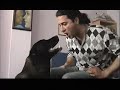 roka dog adopted from streets - singing aria with kaan