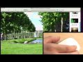 Video ansehen