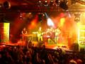 IV All Reggae to the People, The Caroloregians