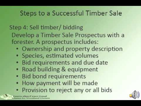 how to harvest your own timber