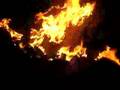 Burning my authentic Roy Williams Jersey