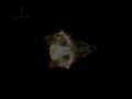Musicvideo.:      ||| - Yog Sothoth