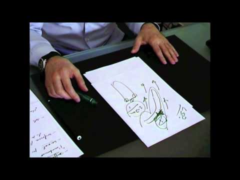 agrandissement penis - Le docteur Marc Abecassis explique quelles techniques sont utilisés pour allonger le pénis. L'allongement du pénis permet de gagner en longueur. Vous pouvez ...